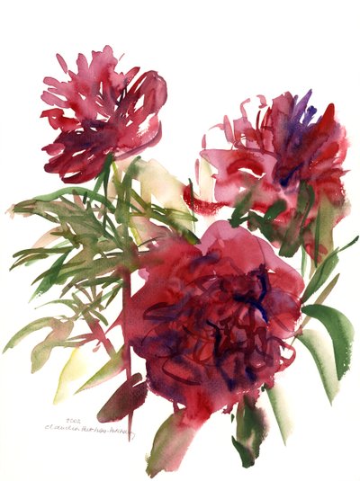 Peônias, 2002 (aquarela) de Claudia Hutchins Puechavy