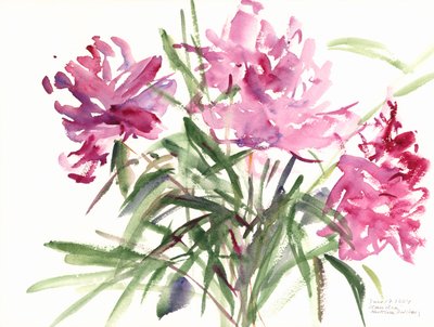 Peônias, 2004 (aquarela) de Claudia Hutchins Puechavy