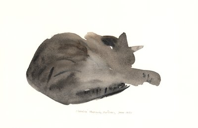Gato dormindo, 1985 (aquarela) de Claudia Hutchins Puechavy
