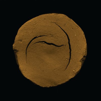 Forma de Terra Rachada de Claudio Boczon