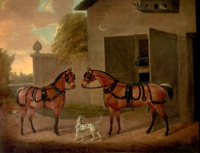 Carruagens, Cavalos e Cães de Clifton Tomson