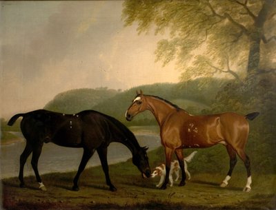 Cavalos e cão em uma paisagem, c.1830 de Clifton Tomson