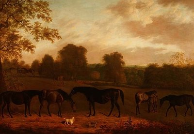 Éguas e Potros de Clifton Tomson
