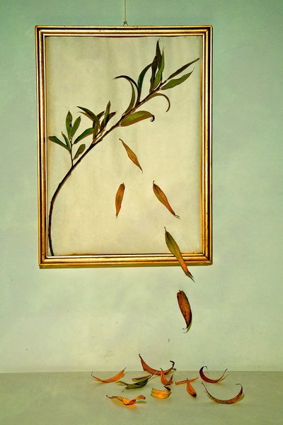  de Codruta Georgescu