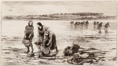The Mussel Gatherers de Colin Hunter