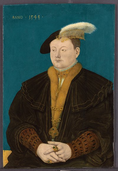Retrato de Friedrich Magnus I de Solms-Laubach, 1543 de Conrad Faber