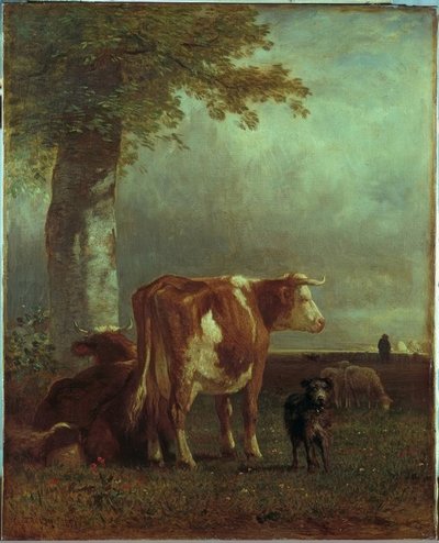 Vacas no pasto de Constant Troyon