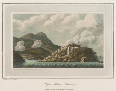 Ilha dos Pombos na Martinica. Litografia (56,6x43,4 cm), do Reverendo Cooper Willyams (1762-1816) de Cooper (after) Willyams