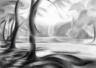 Reflexão na Floresta Mística de Corné Akkers