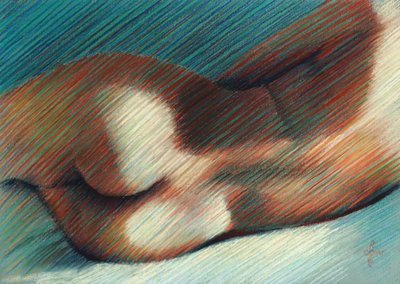 Curvas sensuais do corpo de Corné Akkers