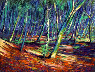 Caminho pela Floresta Vibrante de Corné Akkers