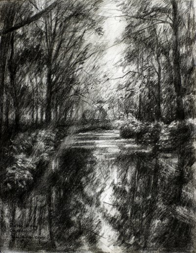 Caminho sinuoso pela floresta de Corné Akkers