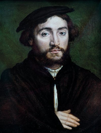 Retrato de Pierre Aymeric, Comerciante de Saint-Flour Painting on wood de Corneille De Lyon (Corneille de La Haye) (1500/1510-1574) de Corneille de la  Haye