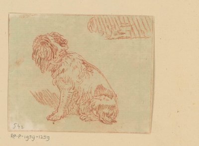 Cão sentado de Cornelis Brouwer (possibly)