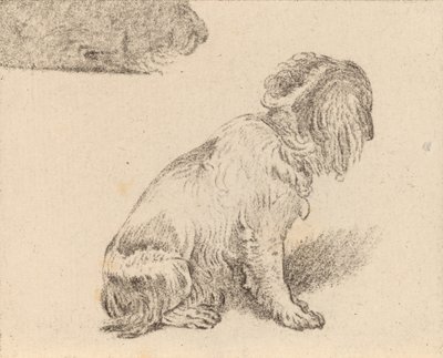 Floresta. de Cornelis Brouwer