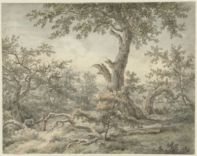 Paisagem florestal de Cornelis Buys
