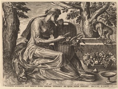 Gosto de Cornelis Cort after Frans Floris I