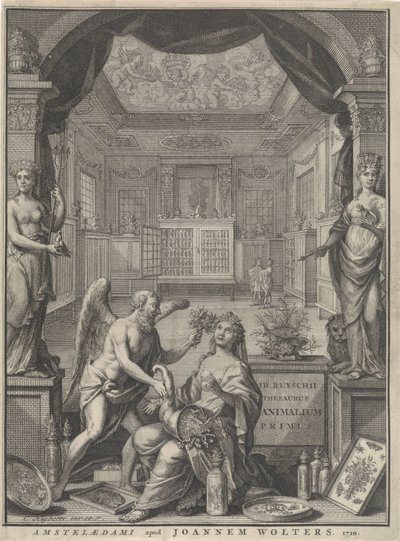 Alegoria da Natureza de Cornelis Huyberts