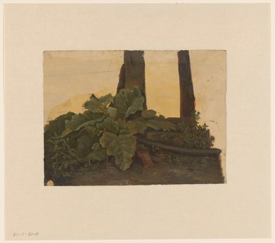 Plantas na base de um tronco de árvore de Cornelis Johannes de Vogel