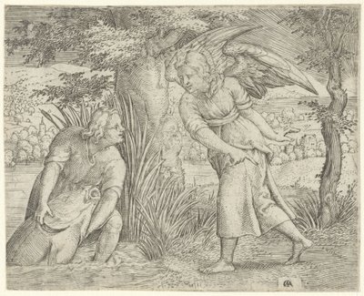 Tobias e o peixe
História de Tobias (título da série) de Cornelis Massijs