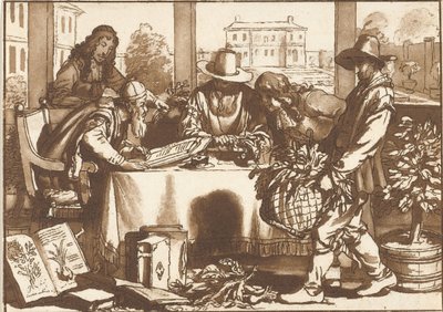 botânico de Cornelis Ploos van Amstel (signed by artist)