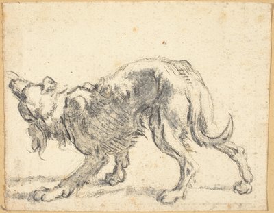 Um cachorro de Cornelis Saftleven