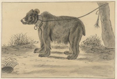 Urso amarrado a uma árvore de Cornelis Saftleven