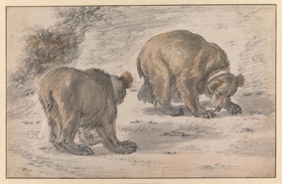 Um urso em várias poses de Cornelis Saftleven