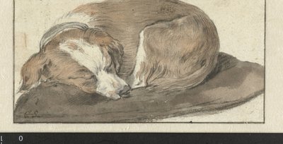 Cão Adormecido de Cornelis Saftleven