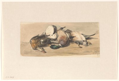 Natureza morta com quatro patos de Cornelis Springer