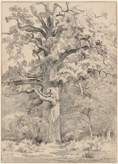 Um carvalho gigante à beira de uma floresta de Cornelis Steffelaar