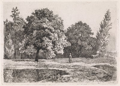 Paisagem com árvores, lago e uma mulher Quinta suíte (título da série) de Cornelis Steffelaar