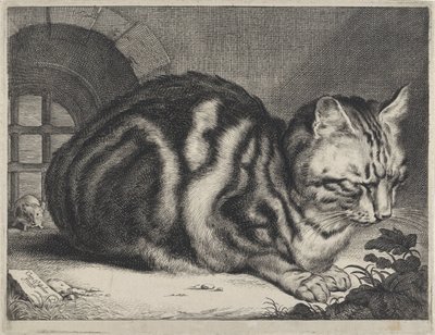 O grande gato de Cornelis Visscher (II)