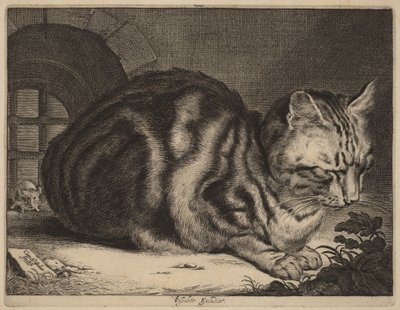 O grande gato de Cornelis Visscher
