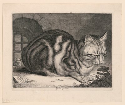 O grande gato de Cornelis Visscher