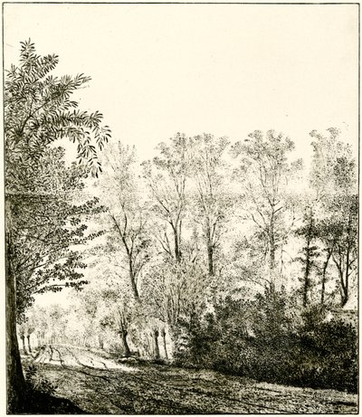 Trilha através de uma floresta de Hendrick Cornelisz. Vroom