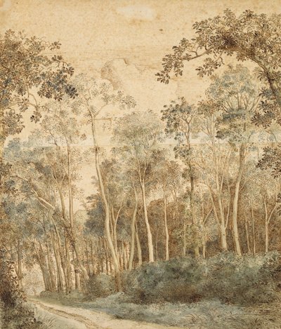 Paisagem arborizada (caneta e tinta marrom e wc no papel) de Hendrick Cornelisz. Vroom