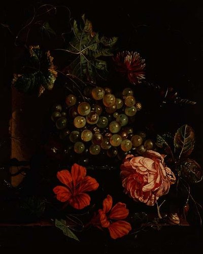 Uvas e flores com escaravelho, caracol e lagarto de Cornelis de Heem