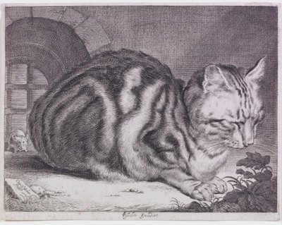 O grande gato de Cornelis de Visscher