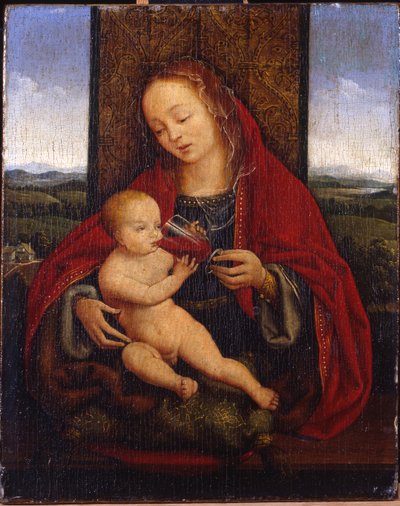 A Madonna e a Criança entronizadas de Cornelis van Cleve