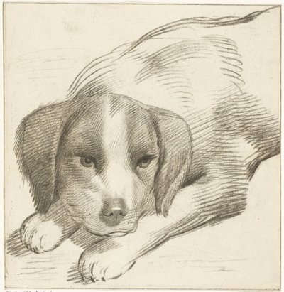 Cão reclinador de Cornelis van Noorde