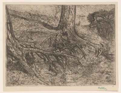 raiz da arvore de Cornelis van Steenwijk