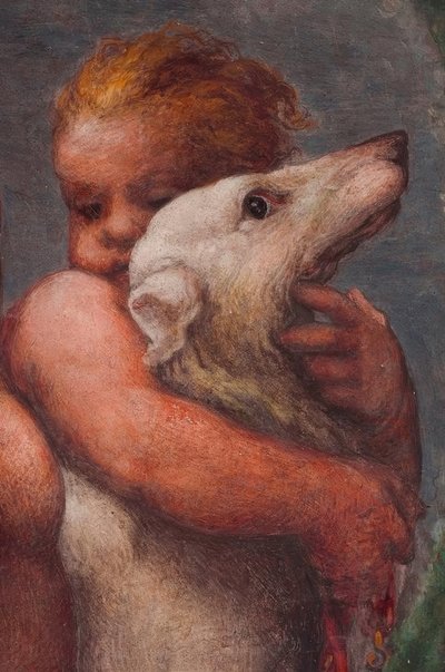 Parma, Câmara de São Paulo, Putto de Antonio da Correggio