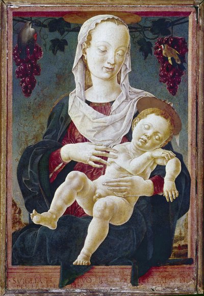 Madonna e Criança, conhecida como Nossa Senhora do Zodíaco. c.1459-63 (tempera a bordo) de Cosimo Tura