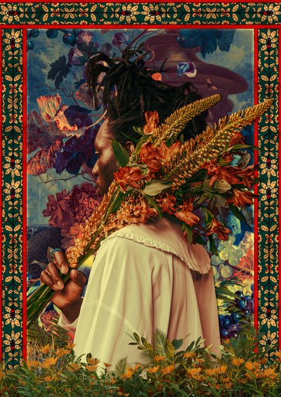 Abundância Floral Exuberante de CosmoZach