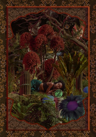 Jardim Fantástico da Mulher Adormecida de CosmoZach