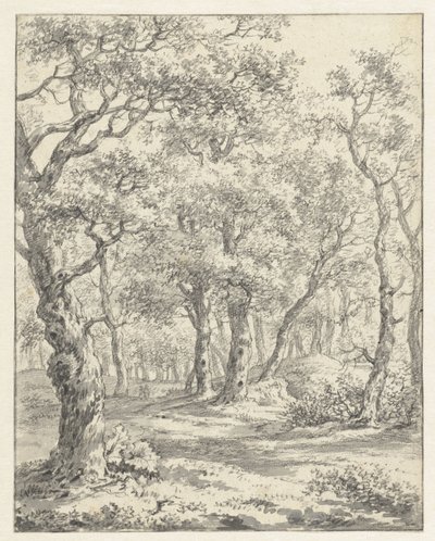 Paisagem florestal de Couwenhoven