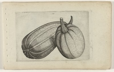 Twee meloenenen
Cognoscite lilia (título da série) de Crispijn van de Passe (I) (attributed to)