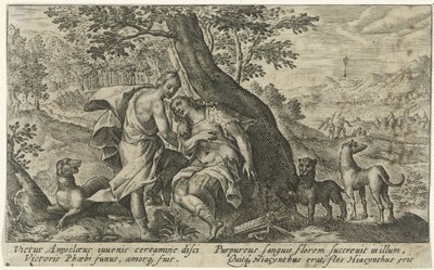 Apollo e Jacinto
Metamorfoses por Ovid (título da série) de Crispijn van de Passe (I)