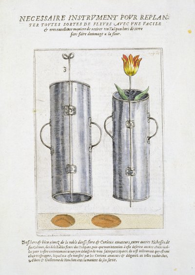 Dispositivo para replantação de flores, de &39;Hortus Floridus&39;, publicado em 1614-15 de Crispin  Passe